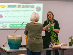 How Dallas Libraries Are Growing Green Thumbs